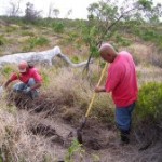 Replanting native forest species Replanting native forest species