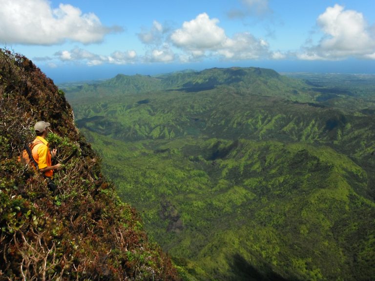 KWA Coordinator – TNC Kaua‘i Forest Program, Summer 2020 Newsletter ...