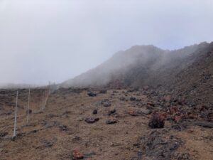 Fence checks high elevation Ka‘ū Mauna Loa