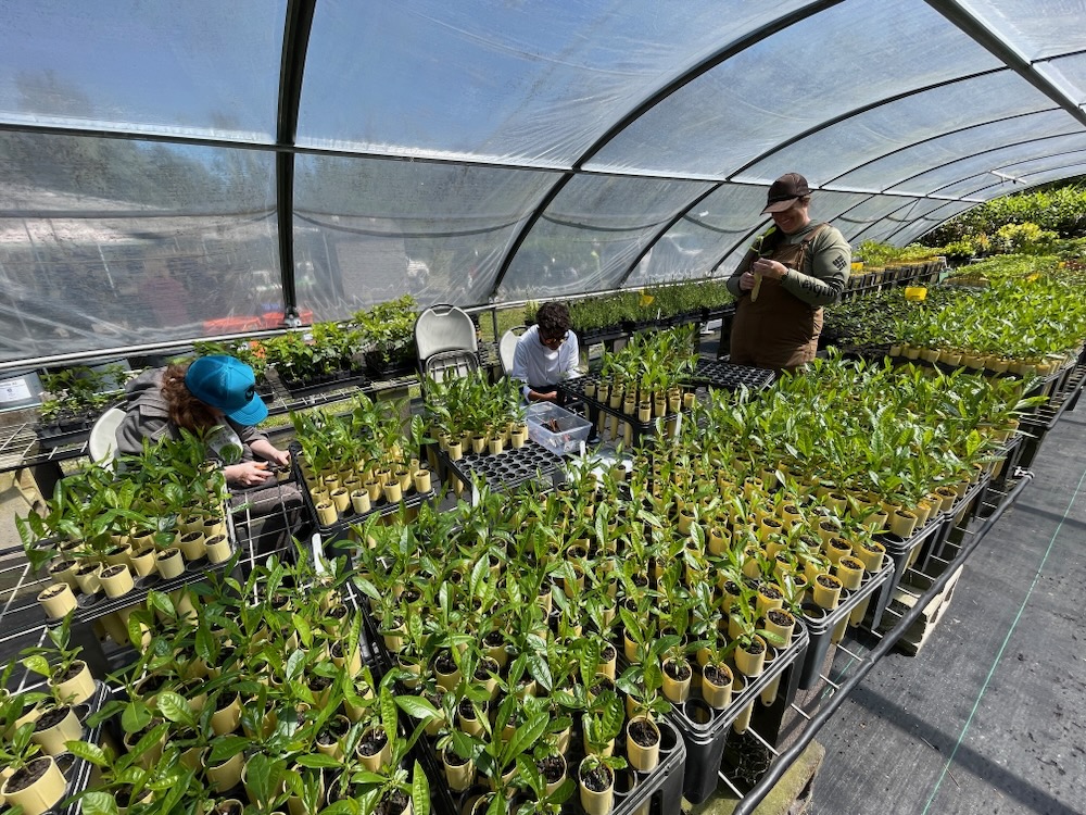 TMA greenhouse staff and students