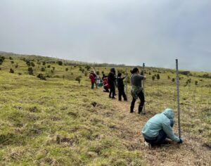 Staff and volunteers building fence